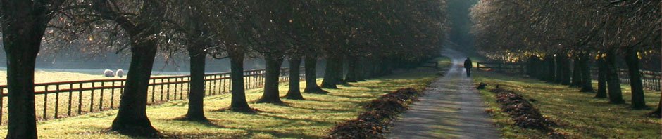 Elektronik ve Haberleşme Dalı